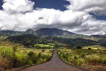 Landscape near Haleiwa, Oahu, Pacific Ocean, Hawaii, USA