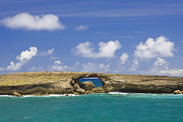Rocks at Kahuku Makahoa Point, Oahu, Pacific Ocean, Hawaii, USA
