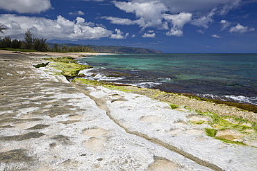 Haleiwa Beach Park, Oahu, Pacific Ocean, Hawaii, USA