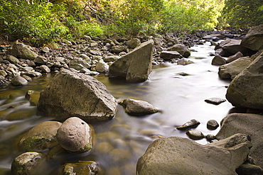 Creek at Kepaniwai County Park,  Iao Valley, Maui, Hawaii, USA