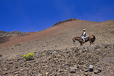 Horse Riding at Crater of Haleakala Volcano, Maui, Hawaii, USA