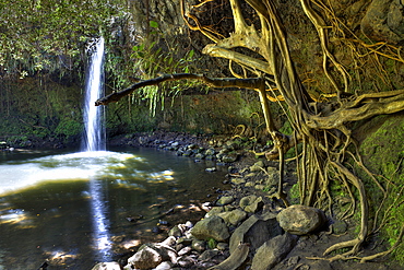 Twin Falls at Road to Hana, Maui, Hawaii, USA