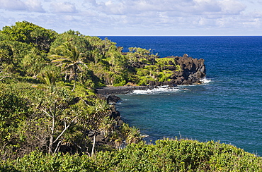 View at Waianapanapa State Park on Road to Hana, Maui, Hawaii, USA