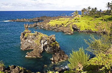 Waianapanapa State Park on Road to Hana, Maui, Hawaii, USA