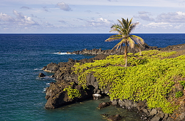 Waianapanapa State Park on Road to Hana, Maui, Hawaii, USA