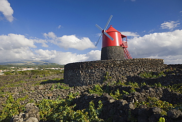 Pico Island Vineyard Culture Unesco Heritage Site, Pico Island, Azores, Portugal