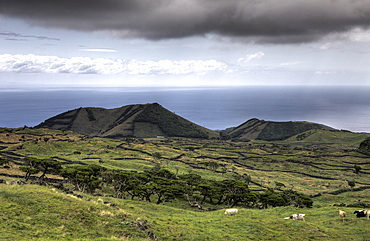 Landscape of Pico, Pico Island, Azores, Portugal