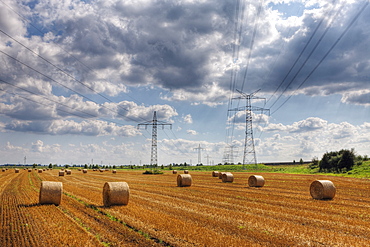 Electricity Pylon and Wheat Field, Munich, Bavaria, Germany