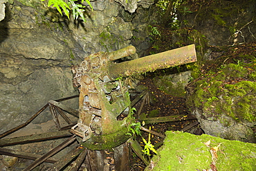 37-mm Gun from II World War, Peleliu Island, Micronesia, Palau