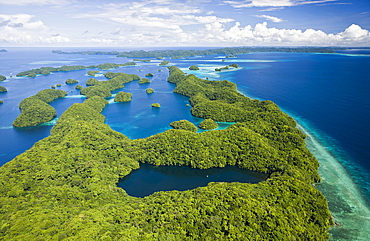 Aerial View of Jellyfish Lake of Palau, Micronesia, Palau