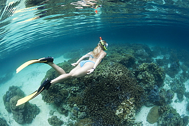 Snorkeling at Risong Bay, Risong Bay, Micronesia, Palau