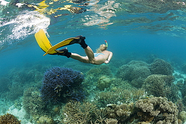 Skin Diving at Palau, Micronesia, Palau