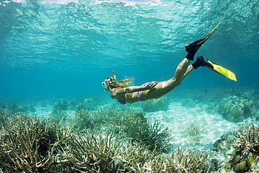 Skin Diving at Palau, Micronesia, Palau