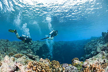 Diver at upper Entrance of Blue Hole Cave, Micronesia, Palau