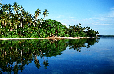 Island with coconut palms, Papua New Guinea, Neu Irland, New Ireland