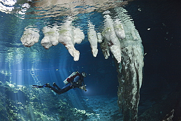 Scuba Diver in Gran Cenote, Tulum, Yucatan Peninsula, Mexico