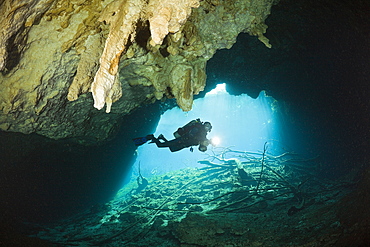 Scuba Diver in Car Wash Cenote Aktun Ha, Tulum, Yucatan Peninsula, Mexico