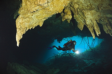 Scuba Diver in Car Wash Cenote Aktun Ha, Tulum, Yucatan Peninsula, Mexico