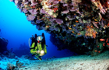 Scuba diver with Rebreather, Maldives Island, Indian Ocean, Ari Atol