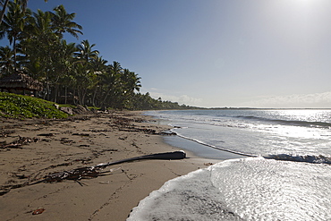 Beach of Pacific Harbour, Beqa Lagoon, Viti Levu, Fiji, South Pacific Islands, Pacific