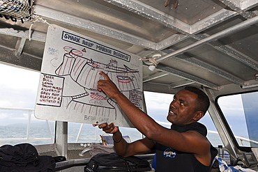 Dive briefing on diving boat, Beqa Lagoon, Viti Levu, Fiji, South Pacific, Pacific