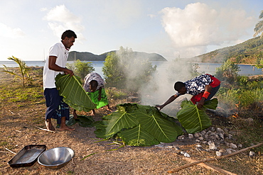 Natives cooking with Lovo Oven, Makogai, Lomaviti, Fiji, Pacific