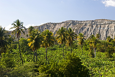 Landscape in the Outback, Independencia Province, Dominican Republic, West Indies, Central America