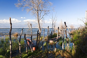 Salt lake Lago Enriquillo, Independencia Province, Dominican Republic, West Indies, Central America