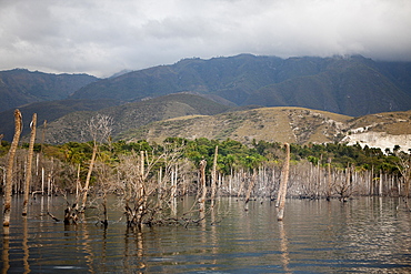 Salt lake Lago Enriquillo, Independencia Province, Dominican Republic, West Indies, Central America