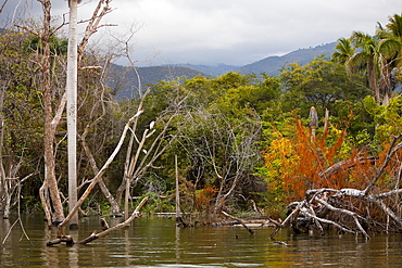 Saltlake Lago Enriquillo, Isla Cabritos National Park, Dominican Republic, West Indies, Central America