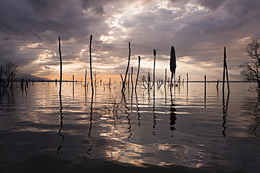 Dawn at Saltlake Lago Enriquillo, Isla Cabritos National Park, Dominican Republic, West Indies, Central America