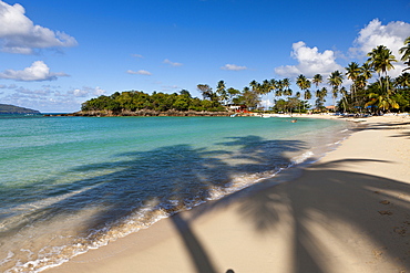 Playa Rincon Beach near Las Galeras, Samana Peninsula, Dominican Republic, West Indies, Central America