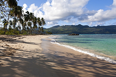 Playa Rincon Beach near Las Galeras, Samana Peninsula, Dominican Republic, West Indies, Central America