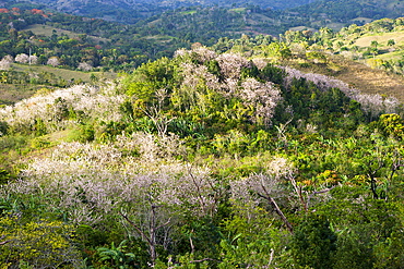 Hills in the Outback, Punta Rucia, Dominican Republic, West Indies, Central America