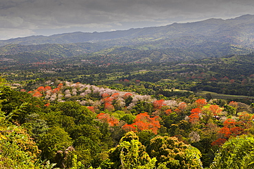 Hills in the Outback, Punta Rucia, Dominican Republic, West Indies, Central America