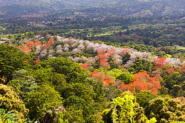 Hills in the Outback, Punta Rucia, Dominican Republic, West Indies, Central America