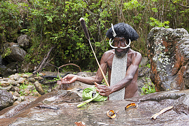 Dani chief showing traditional salt extraction at Jiwika Salt Spring, Baliem Valley, West Papua, Indonesia, Southeast Asia, Asia