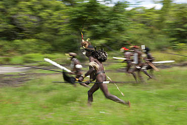 Warriors of Dani tribe, Baliem Valley, West Papua, Indonesia, Southeast Asia, Asia