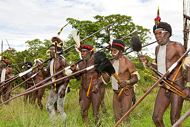 Warriors of Dani tribe, Baliem Valley, West Papua, Indonesia, Southeast Asia, Asia