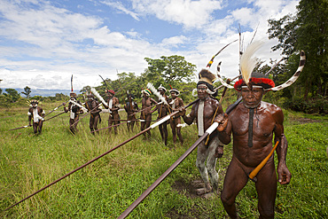 Warriors of Dani tribe, Baliem Valley, West Papua, Indonesia, Southeast Asia, Asia