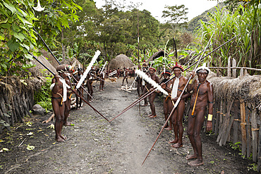 Warriors of Dani tribe, Baliem Valley, West Papua, Indonesia, Southeast Asia, Asia