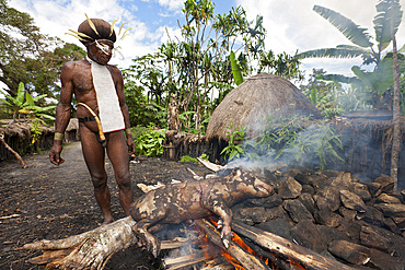 Pig festival in Dani village, Baliem Valley, West Papua, Indonesia, Southeast Asia, Asia