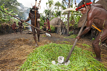 Dani tribesmen heat stones in fire for earth oven, Baliem Valley, West Papua, Indonesia, Southeast Asia, Asia