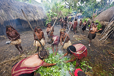 Pig Festival in Dani Village, Baliem Valley, West Papua, Indonesia, Southeast Asia, Asia