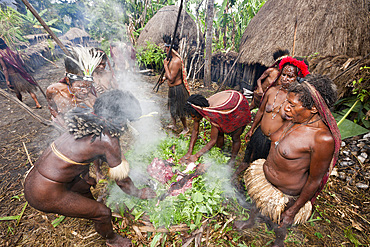 Pig Festival in Dani Village, Baliem Valley, West Papua, Indonesia, Southeast Asia, Asia