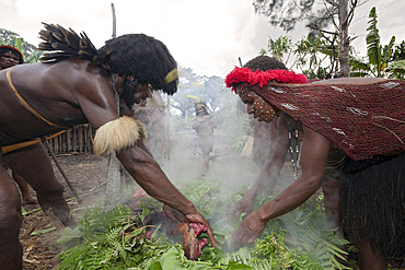 Pig Festival in Dani Village, Baliem Valley, West Papua, Indonesia, Southeast Asia, Asia