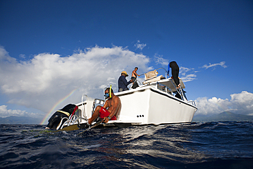 Whale watching Trip, Caribbean Sea, Dominica