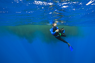 Snorkeler and excrements of Sperm Whale, Physeter macrocephalus, Caribbean Sea, Dominica