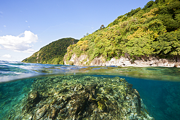 Coast of Dominica, Caribbean Sea, Dominica