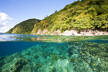 Coast of Dominica, Caribbean Sea, Dominica